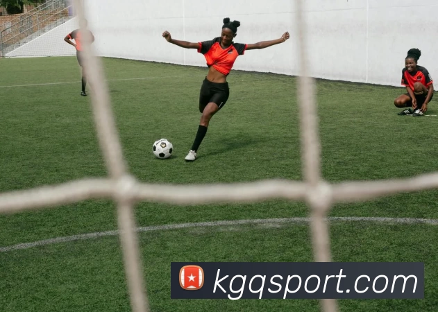 看个球直播官网平台生态图